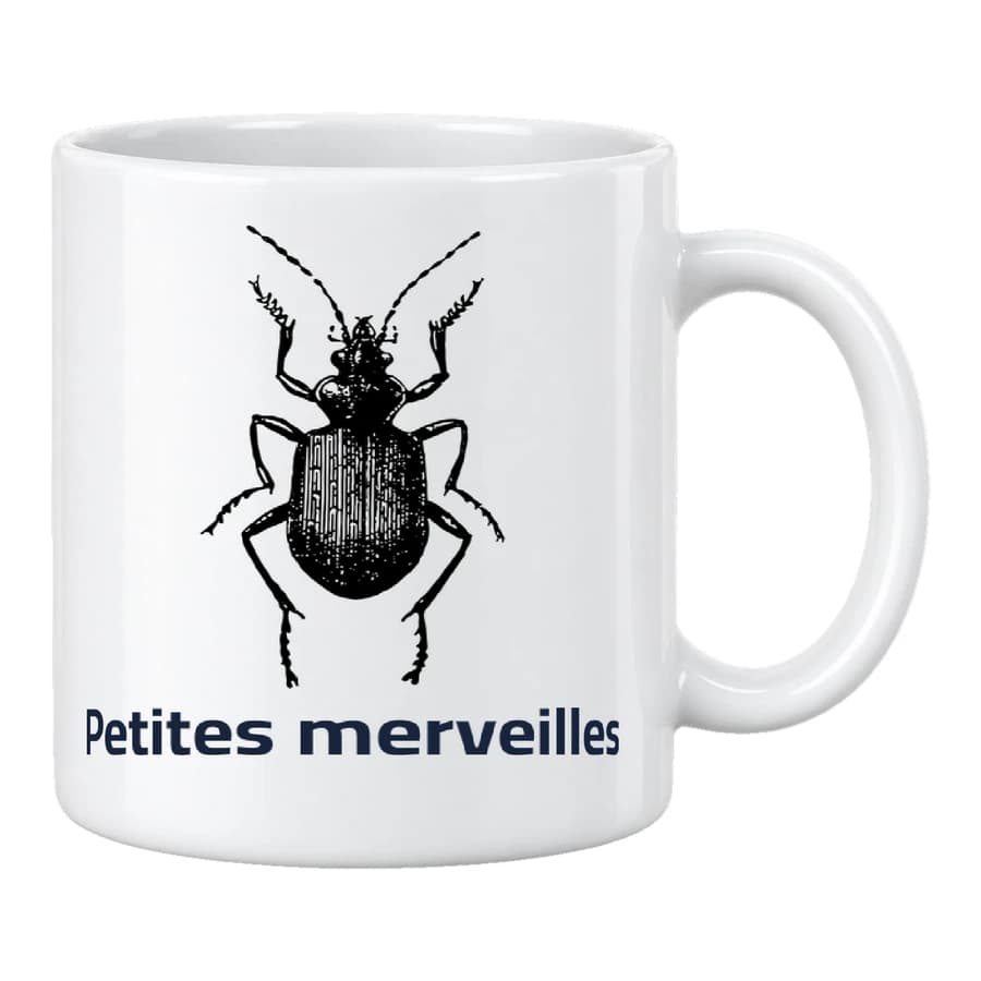 Mug — Scarabée · Cabinet de curiosités — الأمام — أبيض